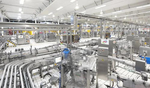 數(shù)字化轉(zhuǎn)型不會讓弱者變強——以人工智能基礎(chǔ)軟件開發(fā)為視角的觀察